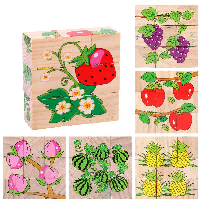 Wooden Puzzle Blocks, 6-Sided Cube Matching Game for Kids