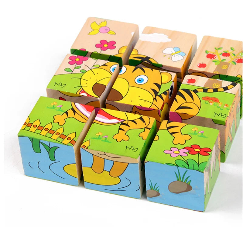 Wooden Puzzle Blocks, 6-Sided Cube Matching Game for Kids
