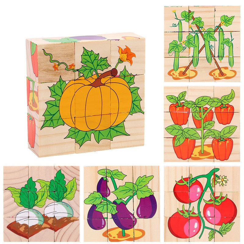 Wooden Puzzle Blocks, 6-Sided Cube Matching Game for Kids