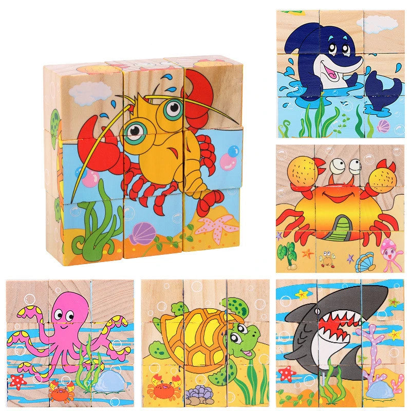 Wooden Puzzle Blocks, 6-Sided Cube Matching Game for Kids