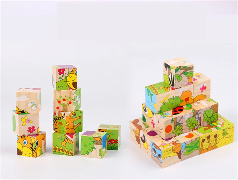 Wooden Puzzle Blocks, 6-Sided Cube Matching Game for Kids