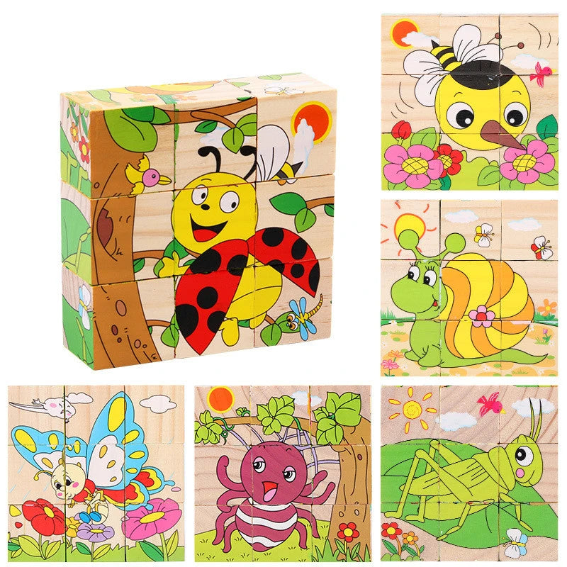 Wooden Puzzle Blocks, 6-Sided Cube Matching Game for Kids