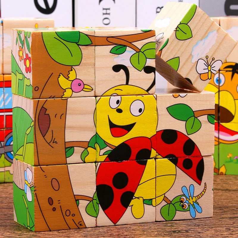 Wooden Puzzle Blocks, 6-Sided Cube Matching Game for Kids
