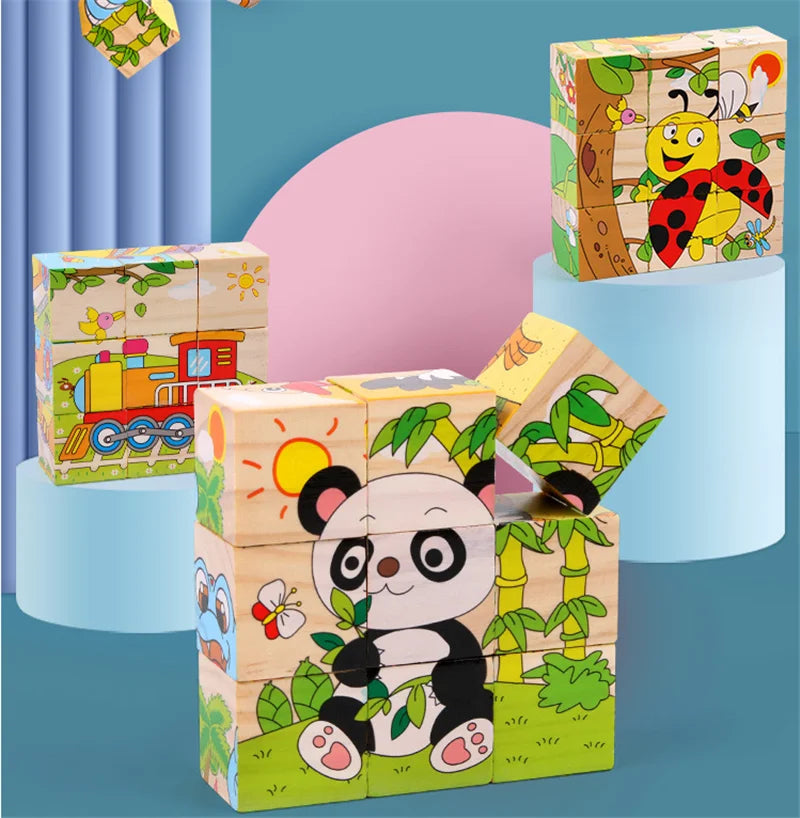 Wooden Puzzle Blocks, 6-Sided Cube Matching Game for Kids