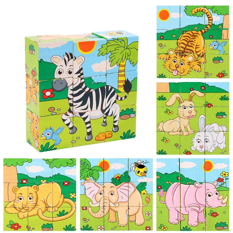 Wooden Puzzle Blocks, 6-Sided Cube Matching Game for Kids