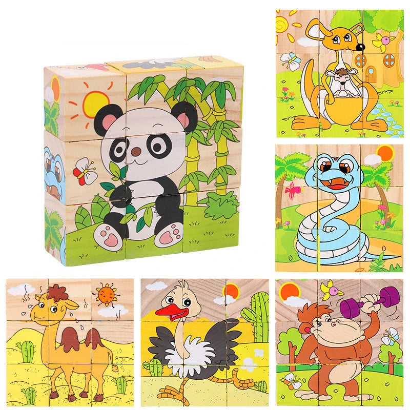 Wooden Puzzle Blocks, 6-Sided Cube Matching Game for Kids