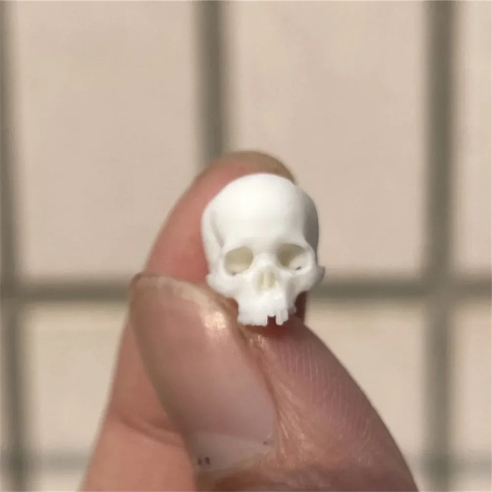 Miniature Skull – Tiny Halloween Decor Model