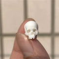 Mini Skull Decoration – Miniature Halloween Model for Home & Displays