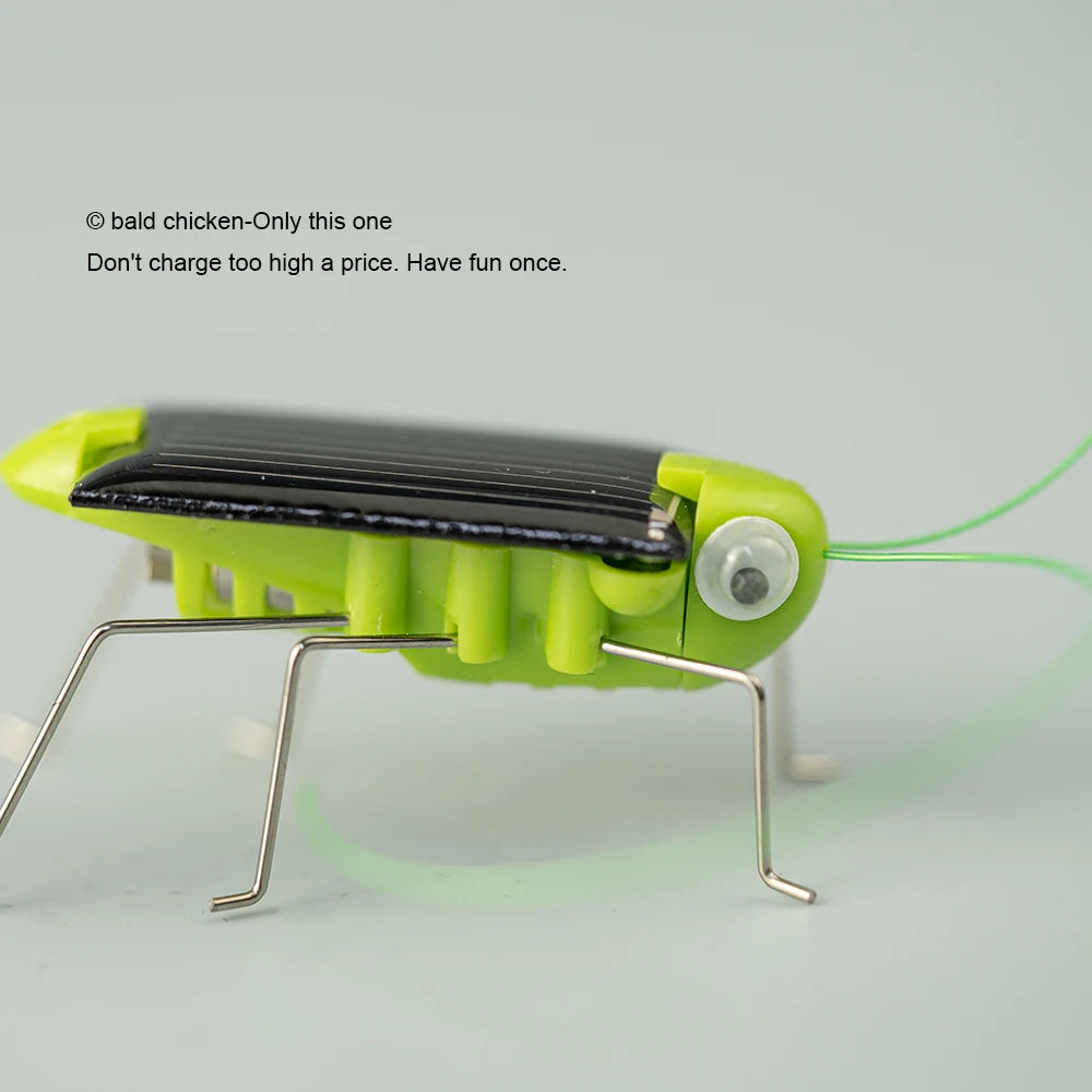 Solar Grasshopper Toy – Educational Moving Insect STEM Toy