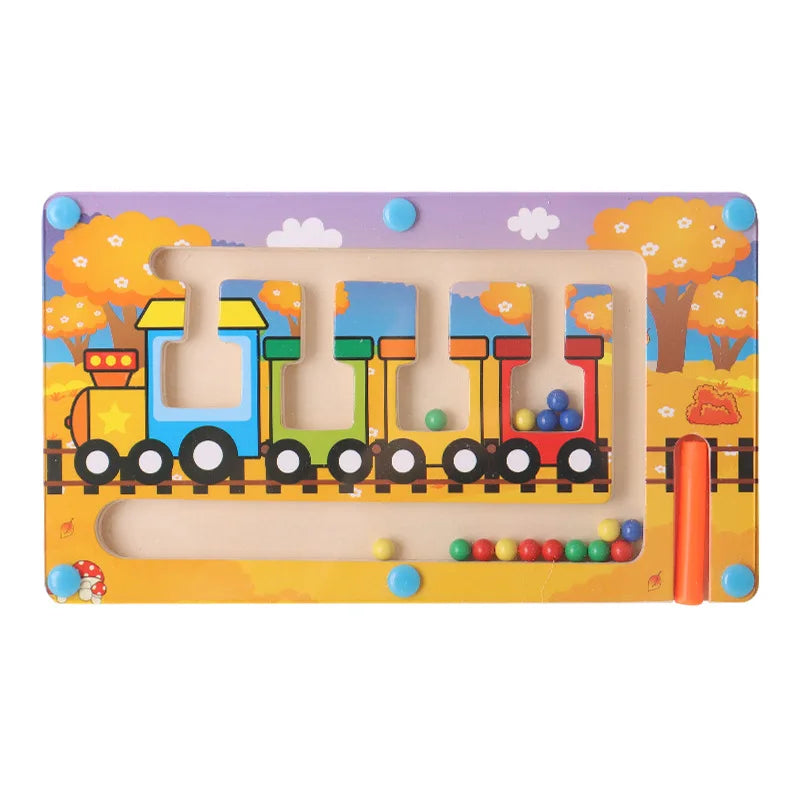 Magnetic Sorting Game – Montessori Wooden Color Puzzle Board