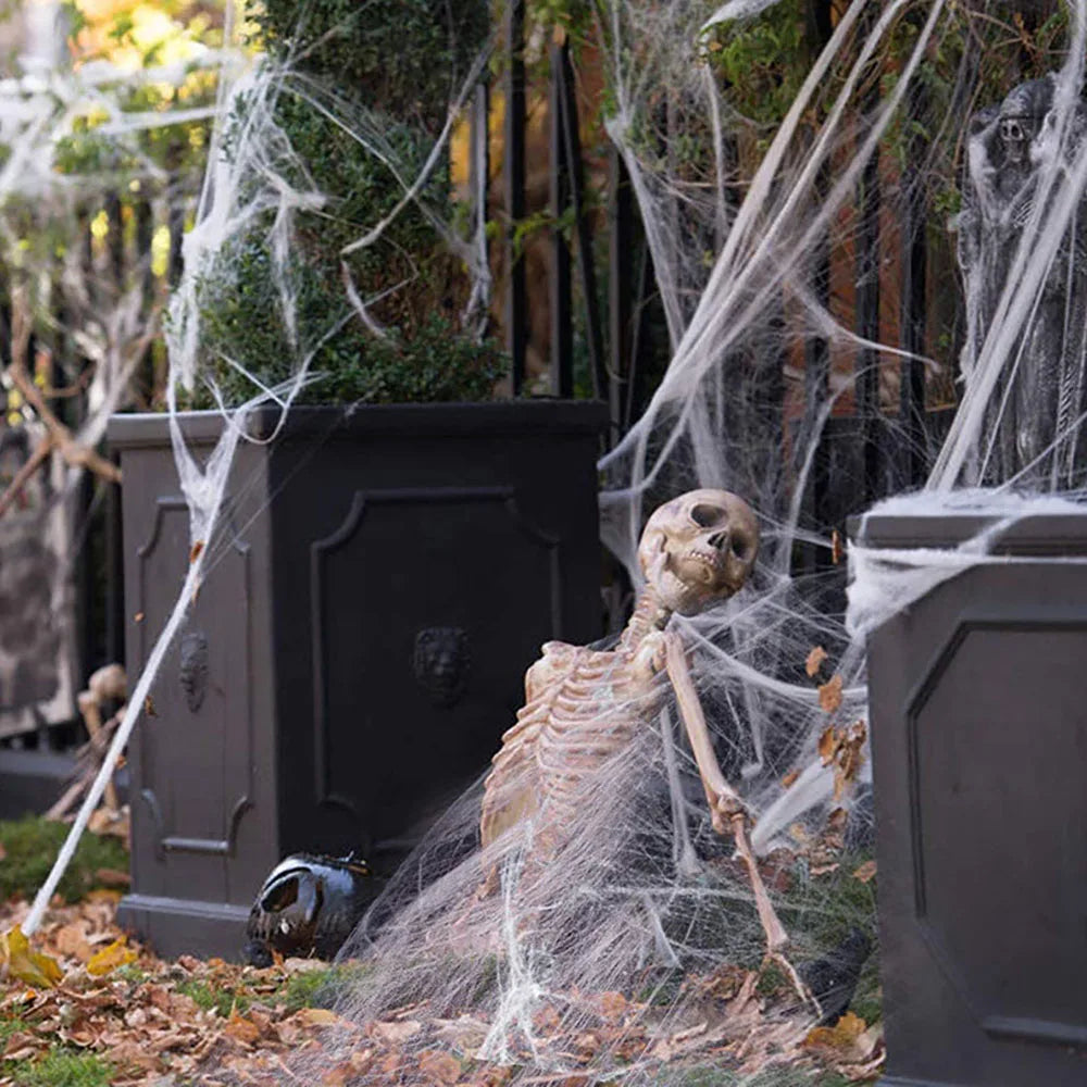 Halloween Spider Web Decoration – Stretchy Cobweb with Spider