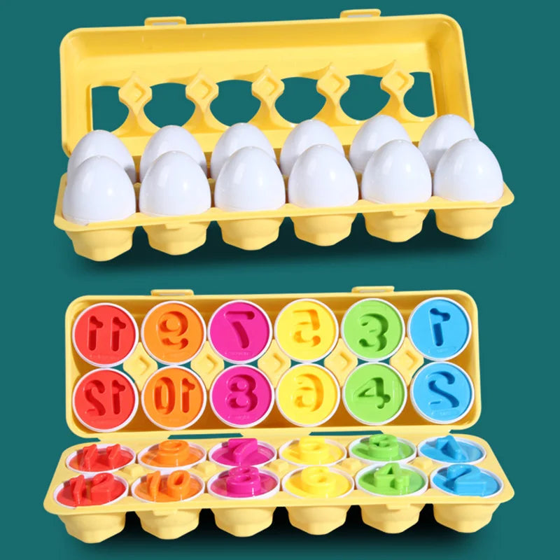Montessori Matching Eggs 12-Piece Color & Shape Sorting Toy