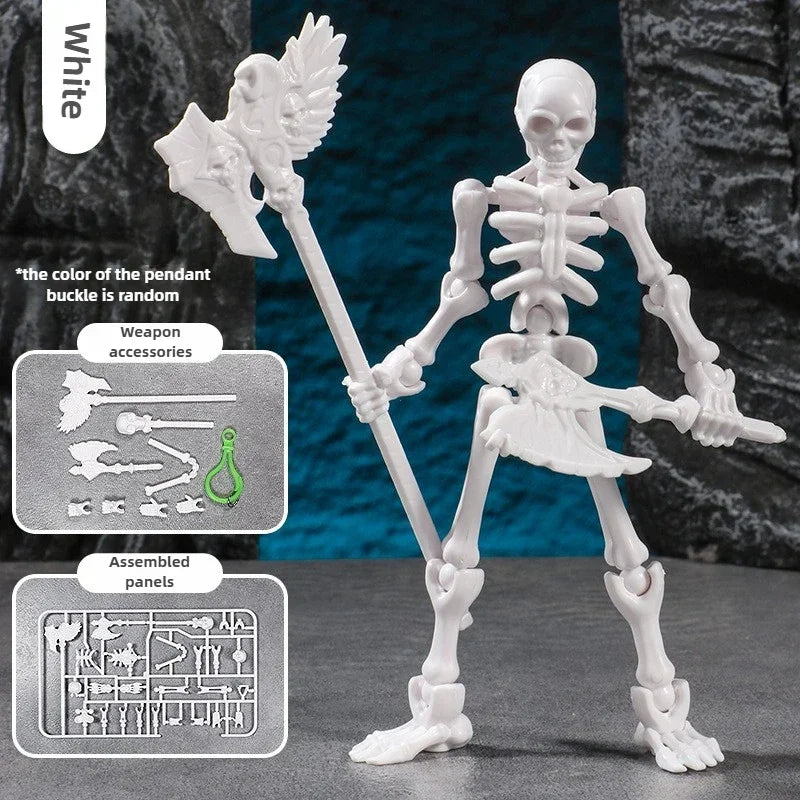 3D Skull Model – Articulated Skeleton Assembly Figure