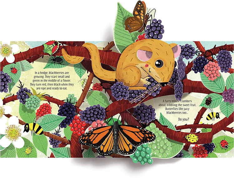 Pop Up Book for Kids – 3D Fairy Tale Bedtime Learning Book