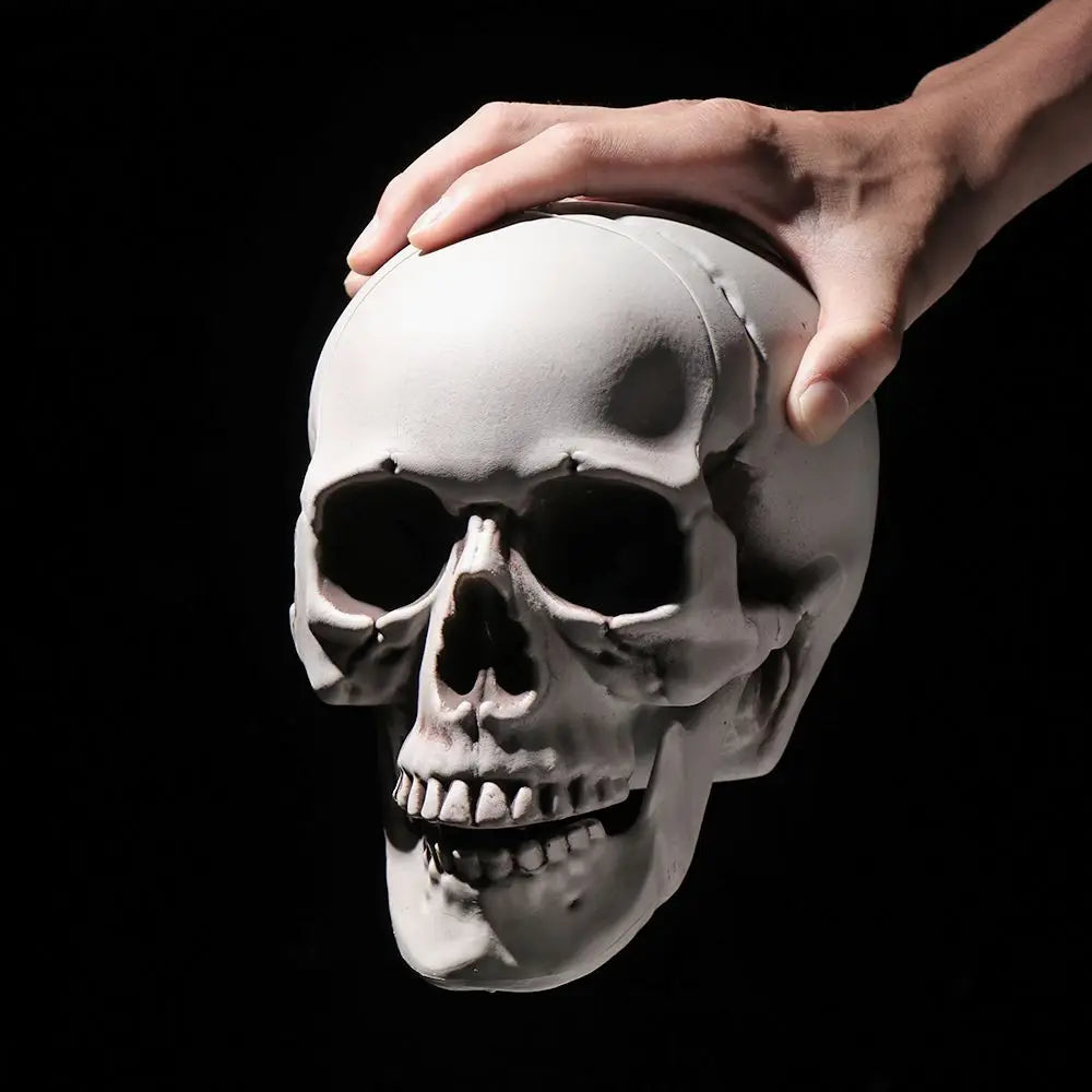 Halloween Skull Prop Skeleton Head Decoration for Party Decor