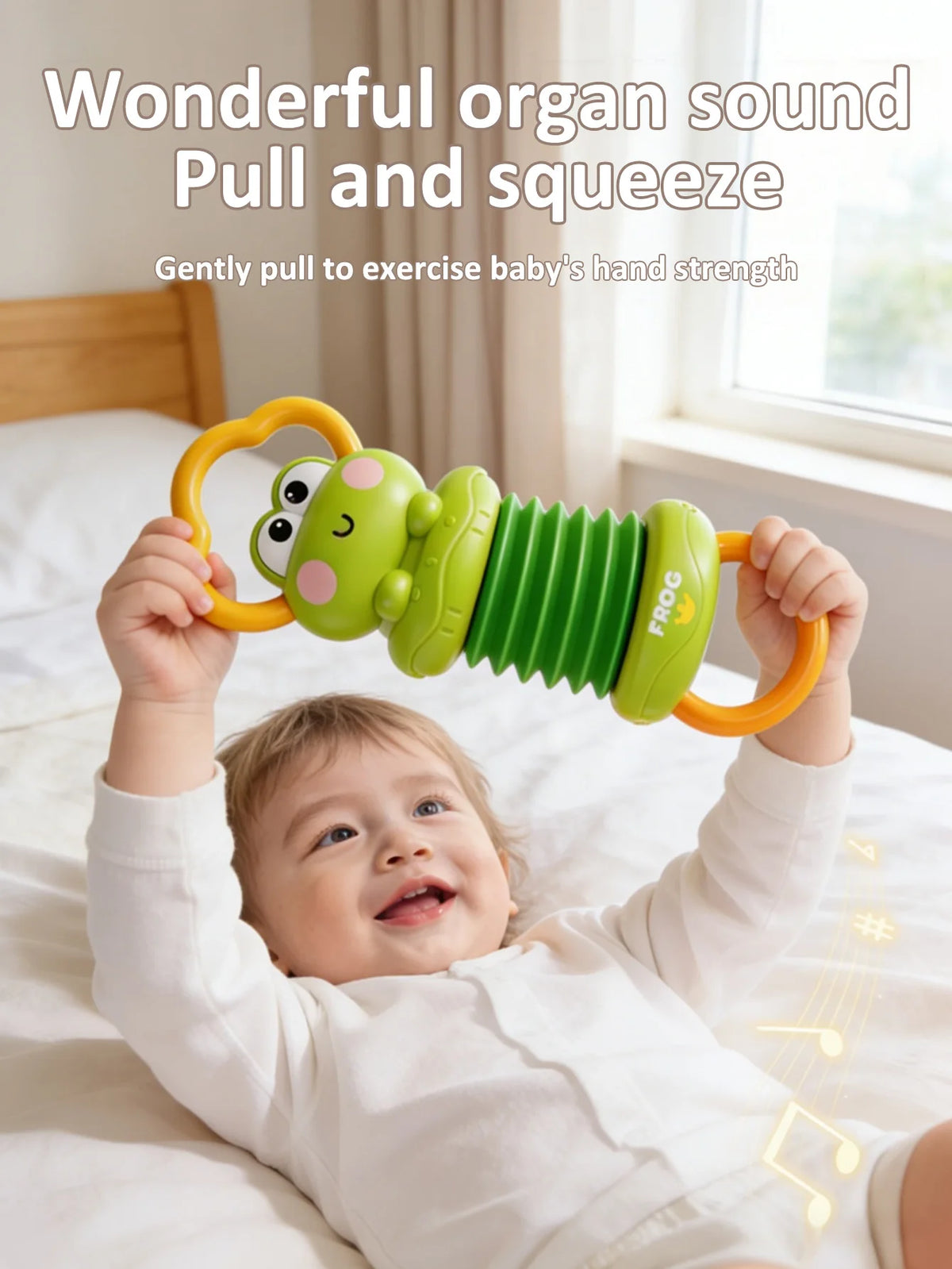 Baby Accordion Toy