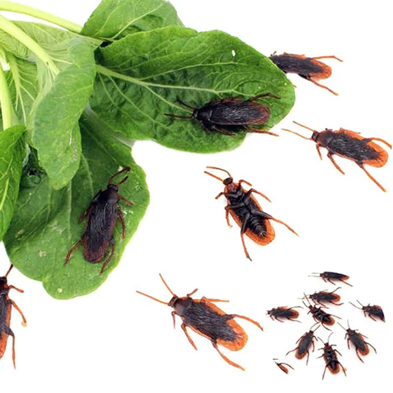 Fake Bugs for Halloween – Plastic Spider, Cockroach & Scorpion