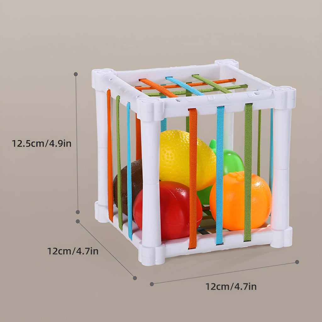 Color Recognition Toy