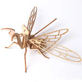 3D Wooden Insect Puzzle – Animal Skeleton Assembly Model