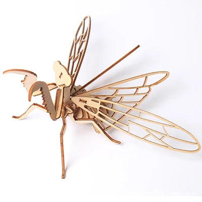 3D Wooden Insect Puzzle – Animal Skeleton Assembly Model