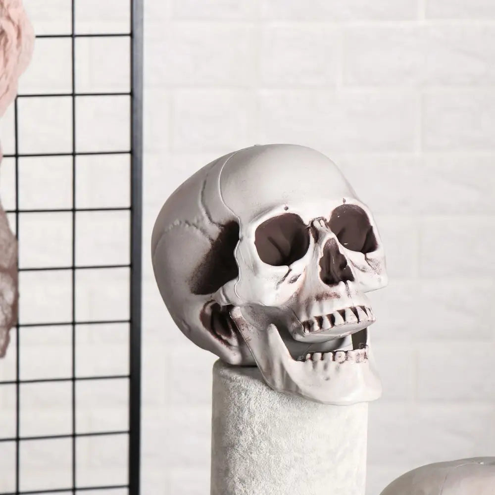 Halloween Skull Prop Skeleton Head Decoration for Party Decor