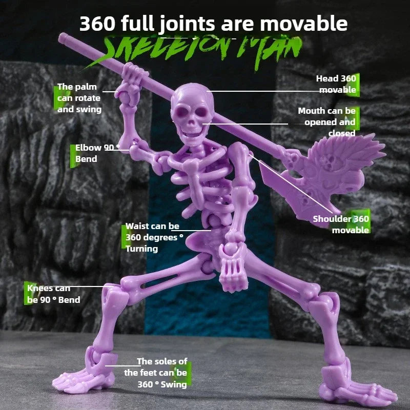 3D Skull Model – Articulated Skeleton Assembly Figure