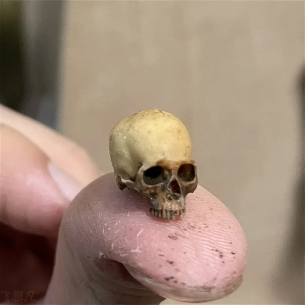 Miniature Skull – Tiny Halloween Decor Model