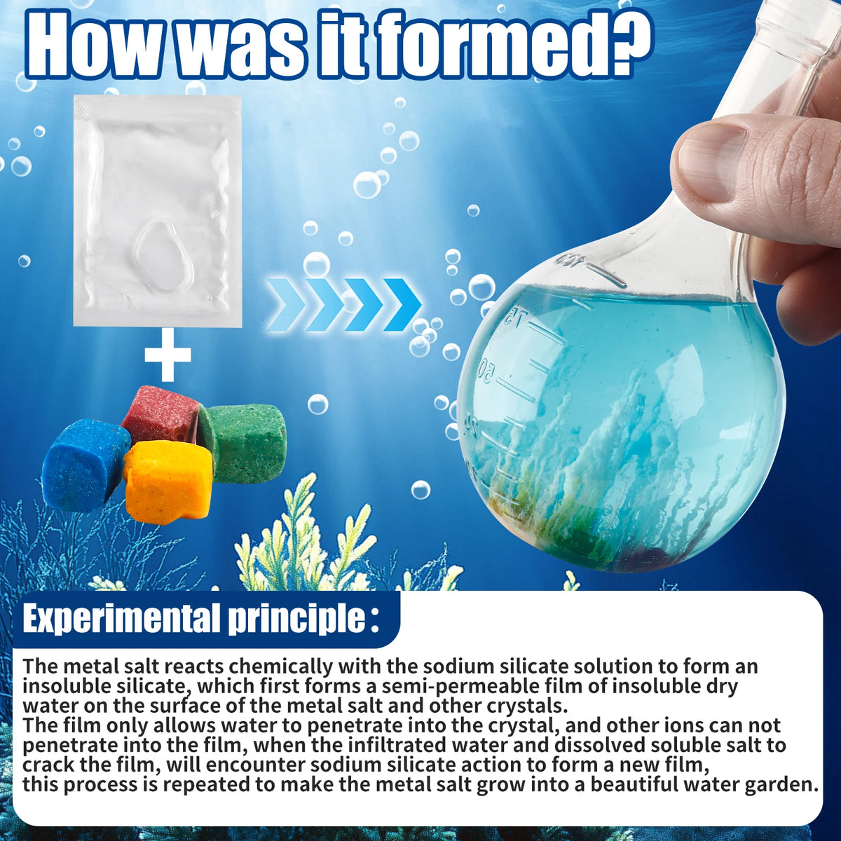 Water Growth Science Toy – DIY Growing Stones Experiment for Kids