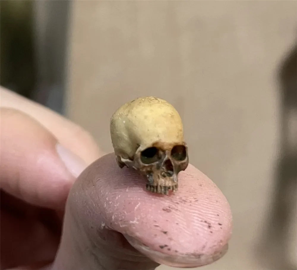 Miniature Skull – Tiny Halloween Decor Model