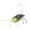 Solar Grasshopper Toy – Educational Moving Insect STEM Toy