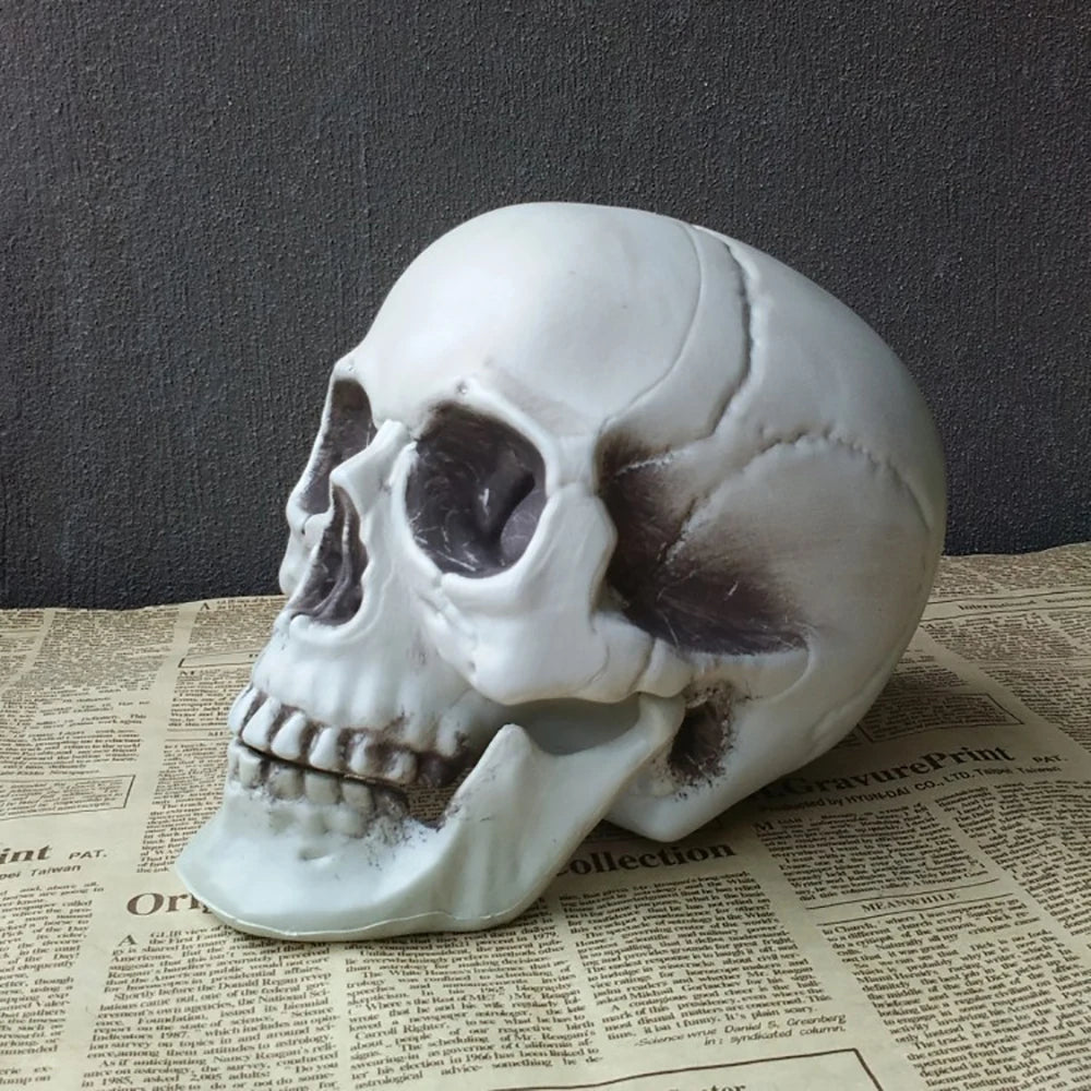 Halloween Skull Decoration – Realistic Plastic Skull Prop