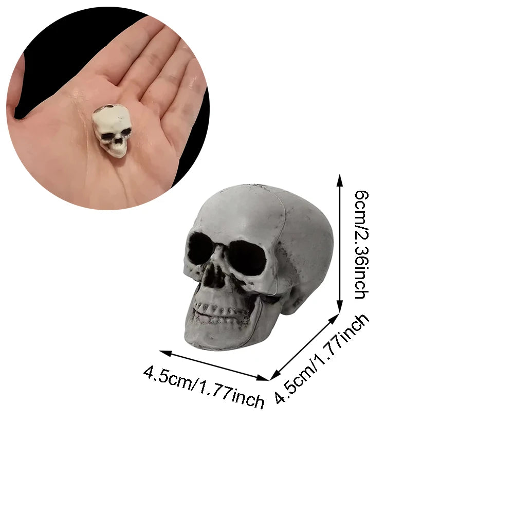 Halloween Skull Decoration – Realistic Plastic Skull Prop