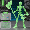 3D Skull Model – Articulated Skeleton Assembly Figure