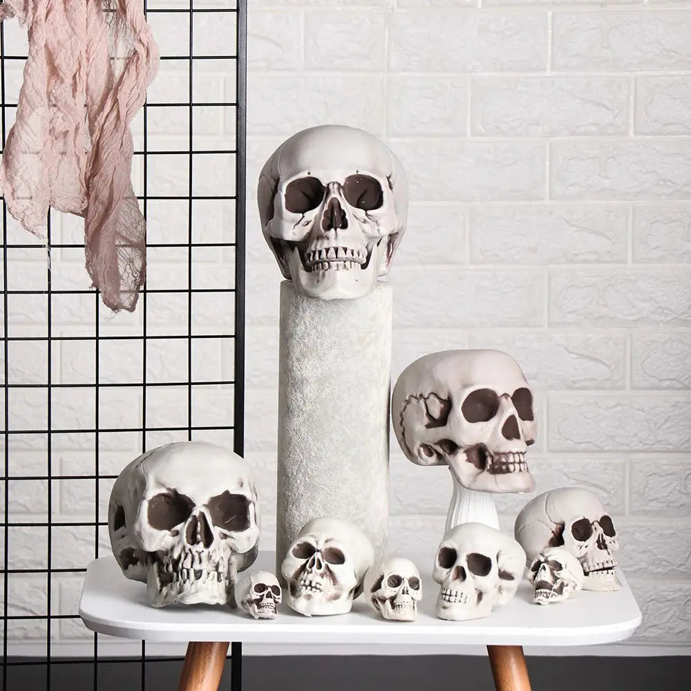 Halloween Skull Prop Skeleton Head Decoration for Party Decor