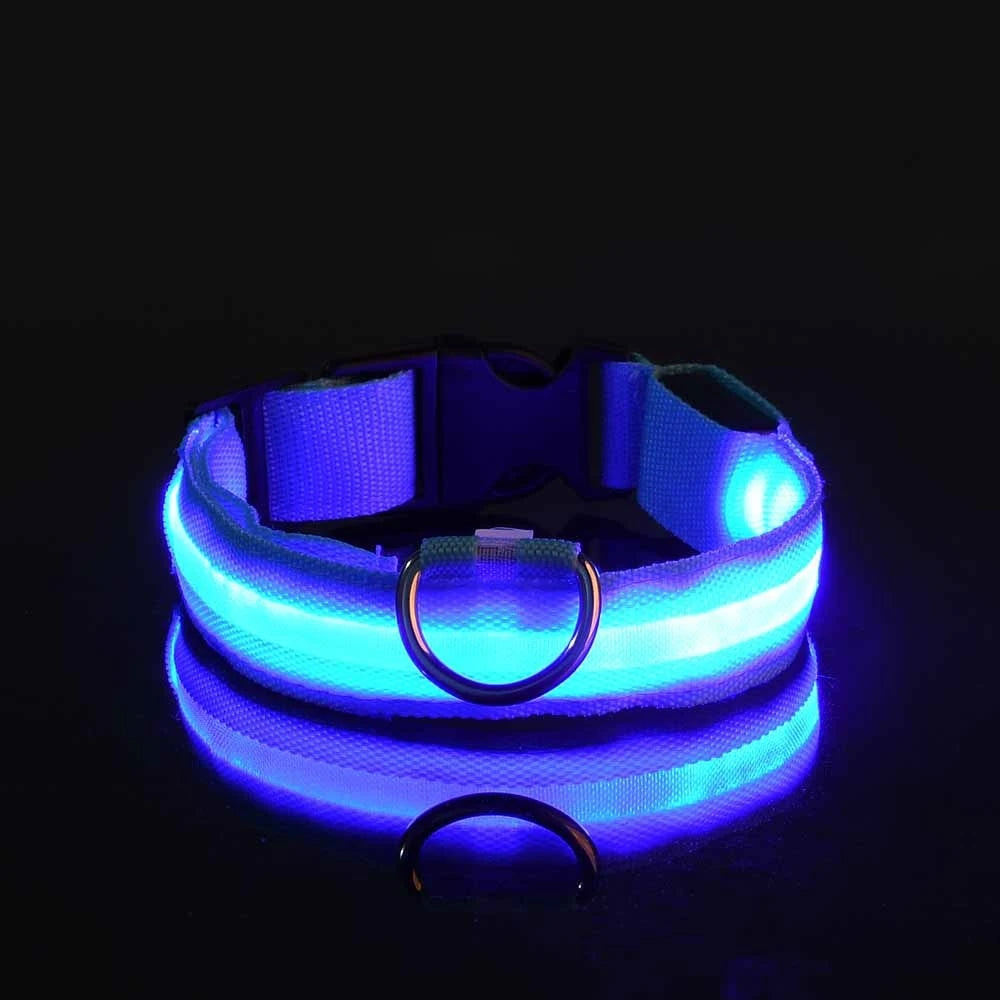 LED Dog Leash – Luminous Glow in the Dark Dog Collar