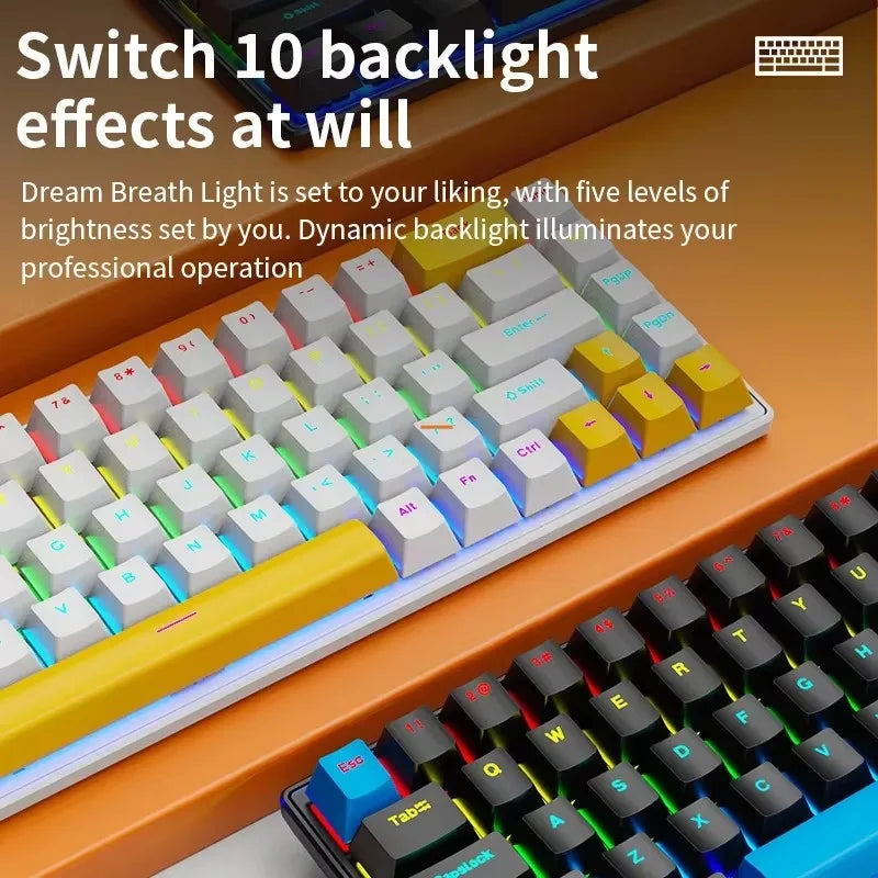 68 Key Mechanical Keyboard – RGB Wired Gaming & Office Keyboard