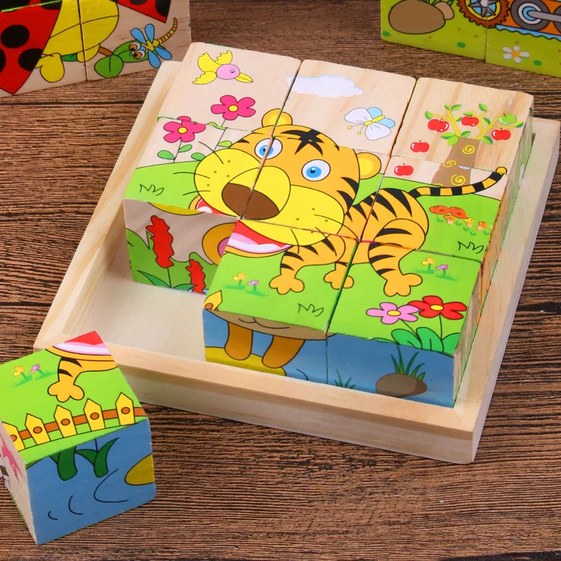 Wooden Puzzle Blocks, 6-Sided Cube Matching Game for Kids