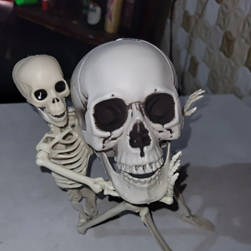 Halloween Skull Decoration – Realistic Plastic Skull Prop
