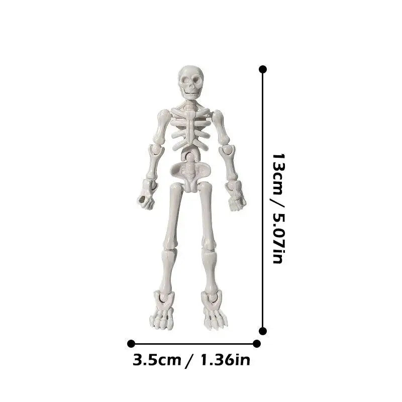 DIY Skeleton Kit – Posable Mini Skeleton Model