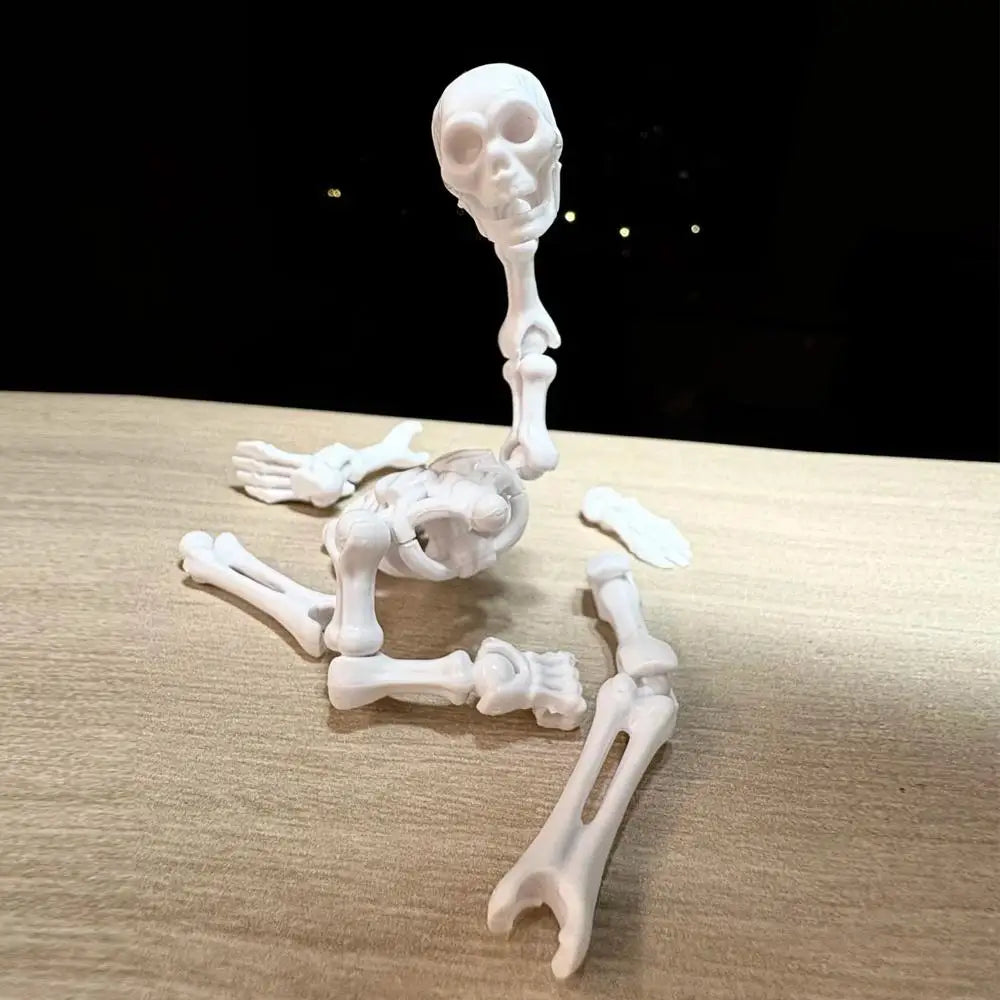 DIY Skeleton Kit – Posable Mini Skeleton Model