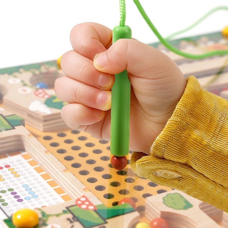 Magnetic Sorting Game – Montessori Wooden Color Puzzle Board