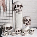 Halloween Skull Prop Skeleton Head Decoration for Party Decor
