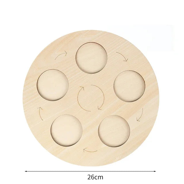 Animal Life Cycle Toy – Montessori Growth Cycle Learning Model