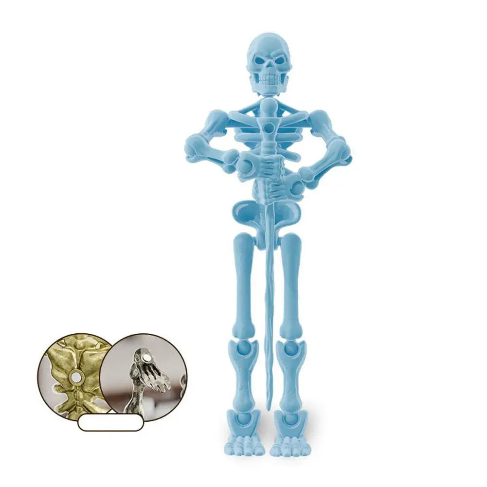 Magnetic Skeleton Toy – Posable Halloween Assembly Figure