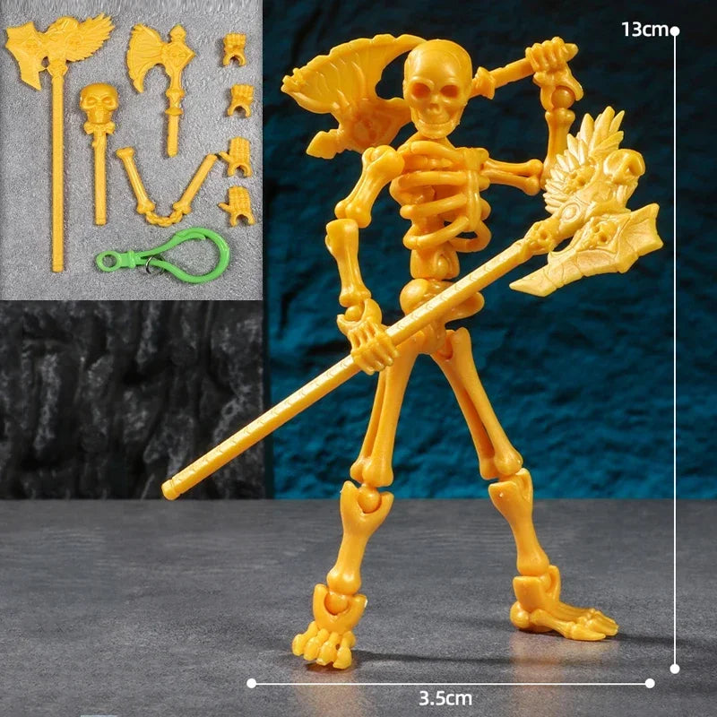 3D Skull Model – Articulated Skeleton Assembly Figure