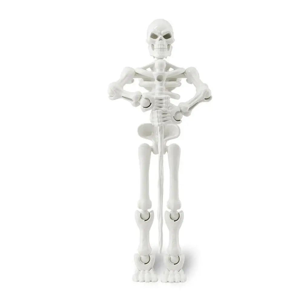 Magnetic Skeleton Toy – Posable Halloween Assembly Figure
