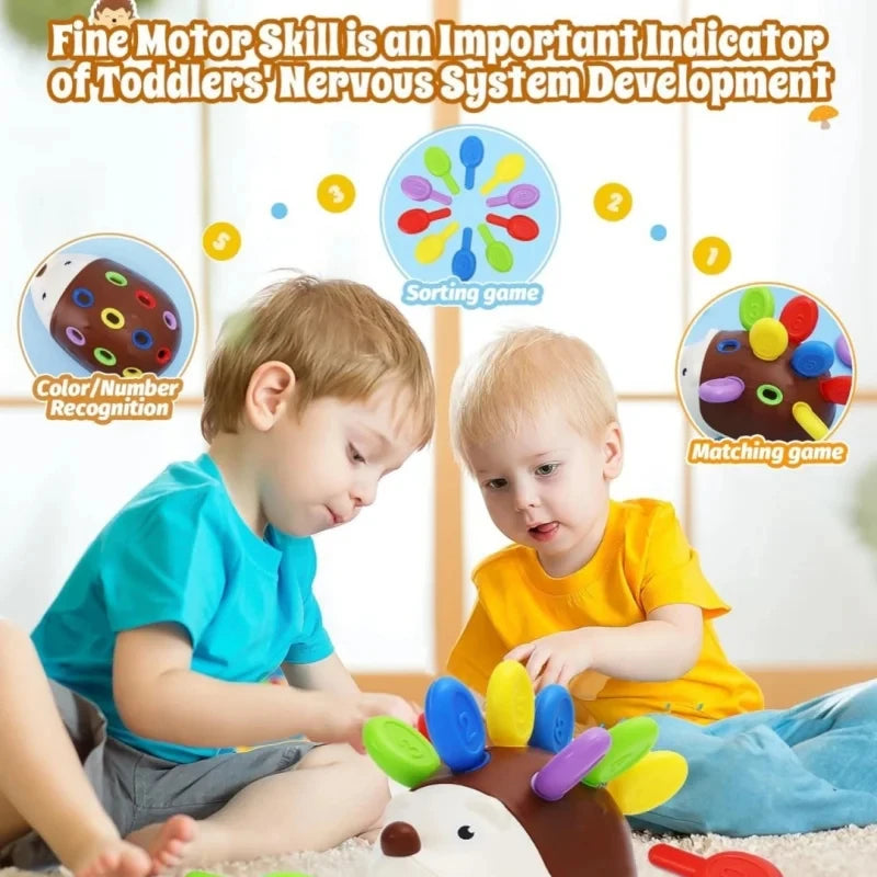 Sensory Hedgehog Toy