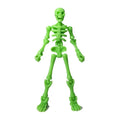 DIY Skeleton Kit – Posable Mini Skeleton Model