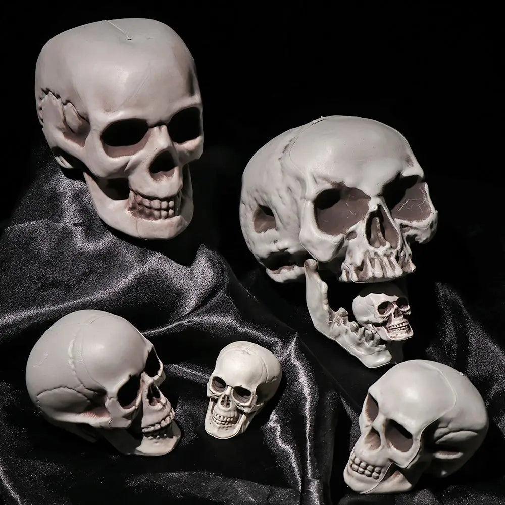 Halloween Skull Prop Skeleton Head Decoration for Party Decor
