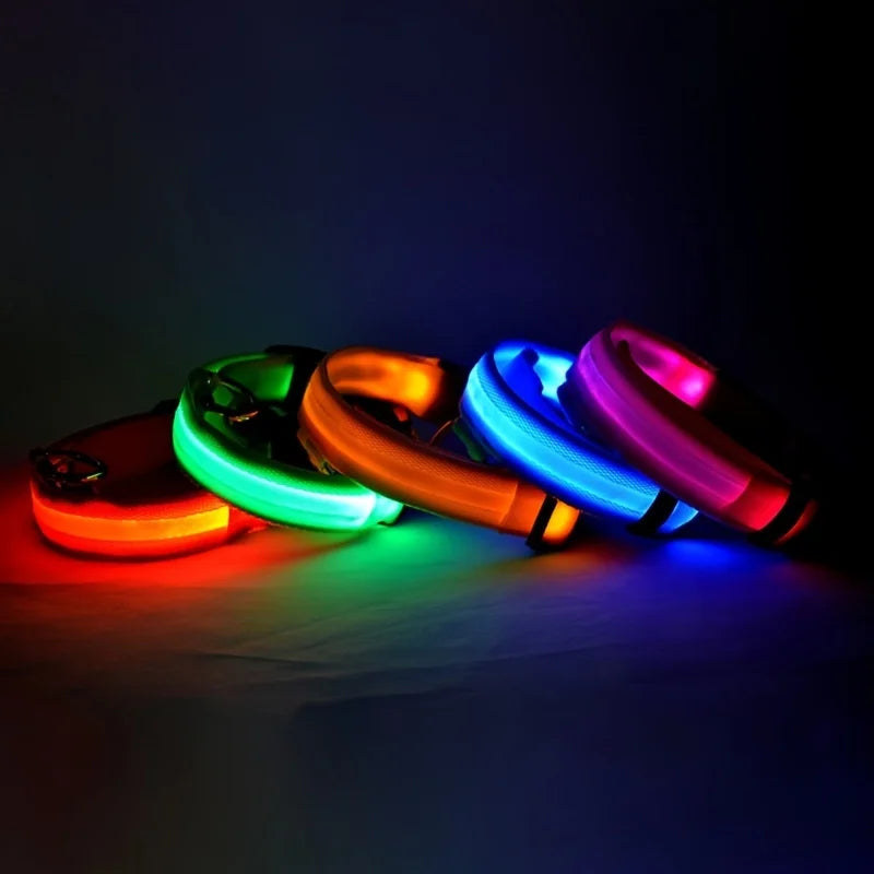 LED Dog Leash – Luminous Glow in the Dark Dog Collar